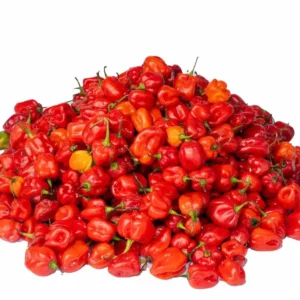 habenero pepper